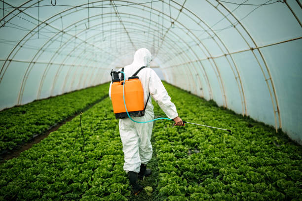 Best Pest Removal Services  in Kenneth City, FL