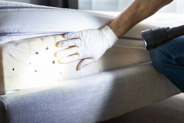Best Commercial Pest Control Services  in Kenneth City, FL