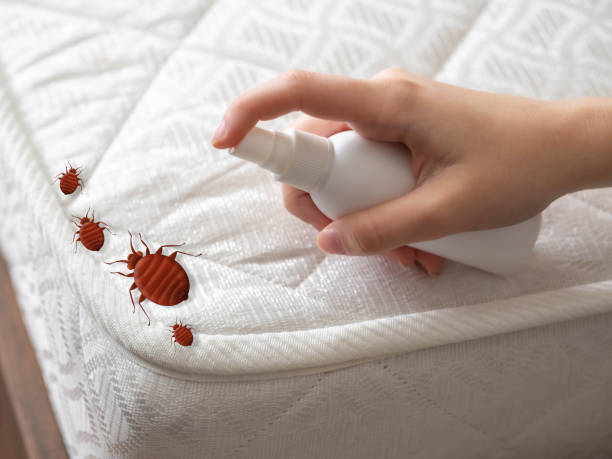 Best Best Pest Control Companies  in Kenneth City, FL