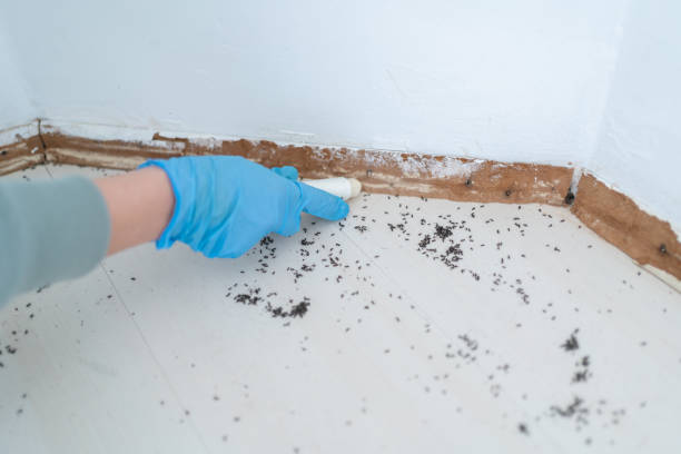 Best Commercial Pest Control Services  in Kenneth City, FL